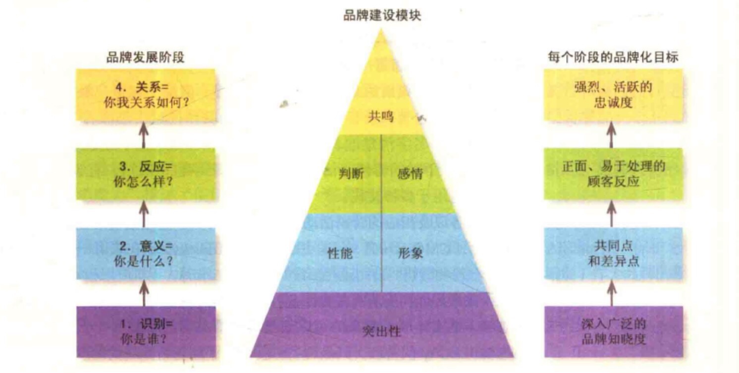 【学习笔记】品牌共鸣模型认为品牌建设是由一系列上升的步骤组成的.