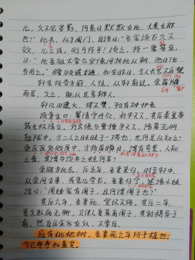 项脊轩志笔记图片图片