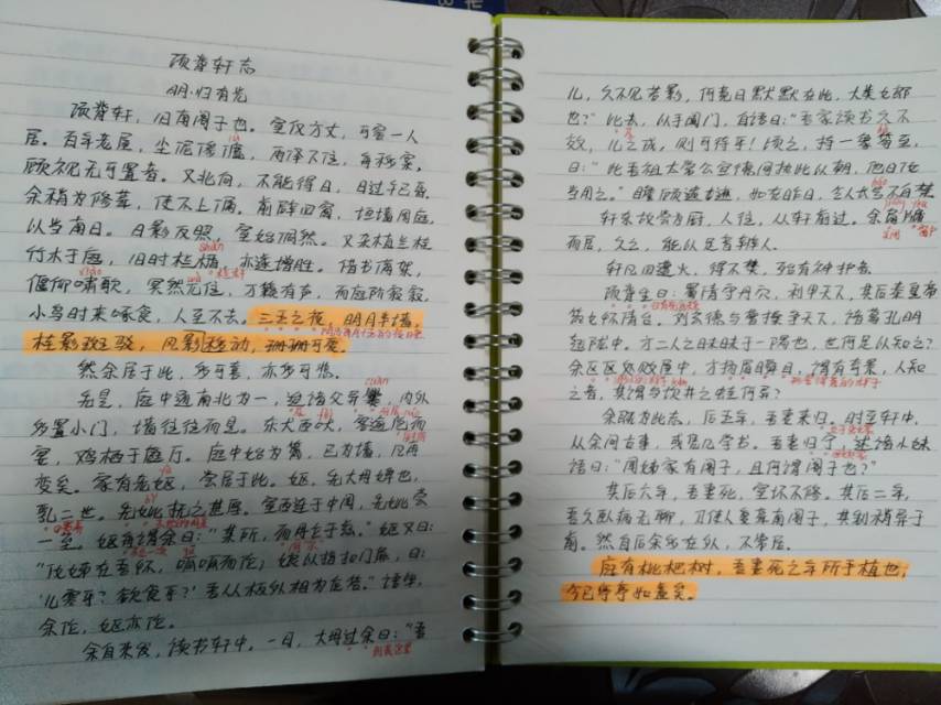 项脊轩志抄写字丑图片图片