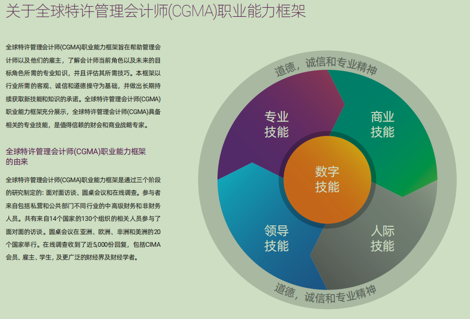 全球特许管理会计师cgma职业能力框架2019版cimagood